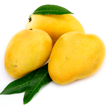 Mango - Badami